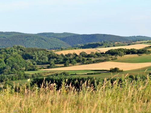 Holiday Home Waldferienpark Gerolstein-5