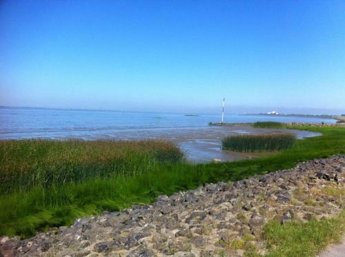 Apartamento Kleines Deichdomizil