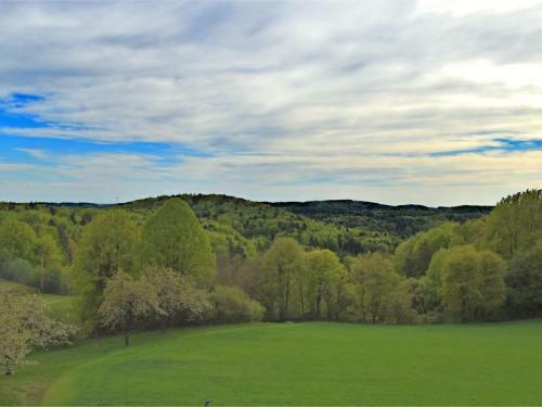 Luxurious Apartment In Wichsenstein Bavaria Near Forest