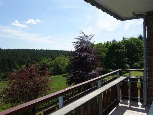 Apartamento Ferienwohnung Harzblick