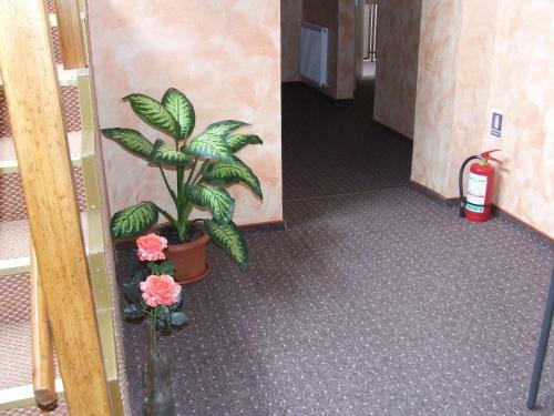 Hostal Pensiunea Caramell