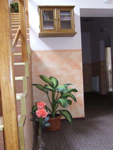 Hostal Pensiunea Caramell