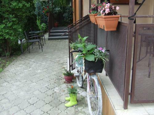 Hostal Pensiunea Caramell