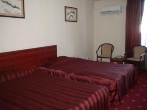 Hotel Ary