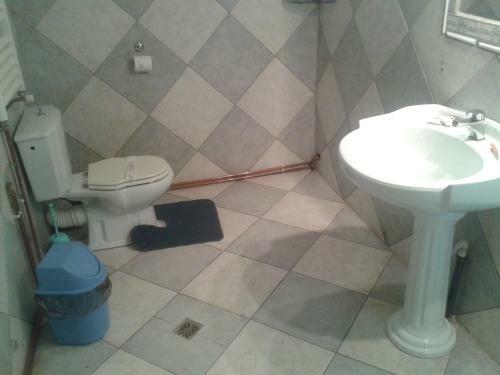 Hostal Pensiunea Vila Dana