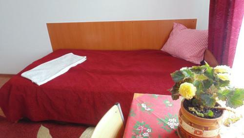Hostal Pensiunea Mioval