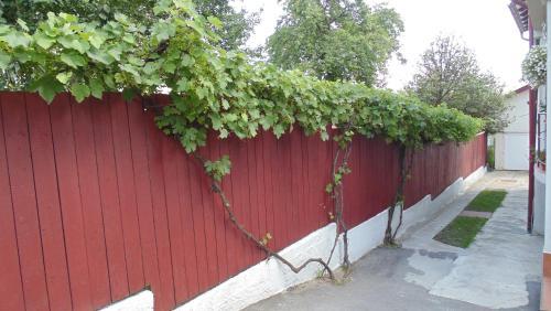 Hostal Pensiunea Mioval