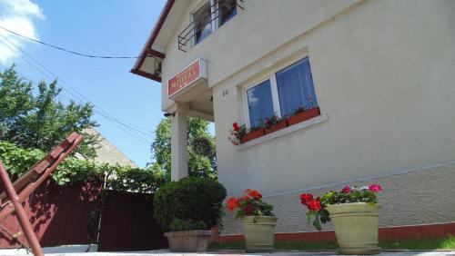 Hostal Pensiunea Mioval