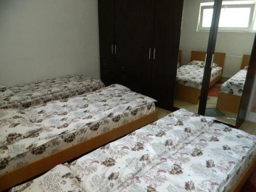 Hostal Cazare Vio
