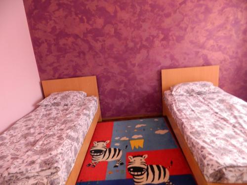 Hostal Cazare Vio