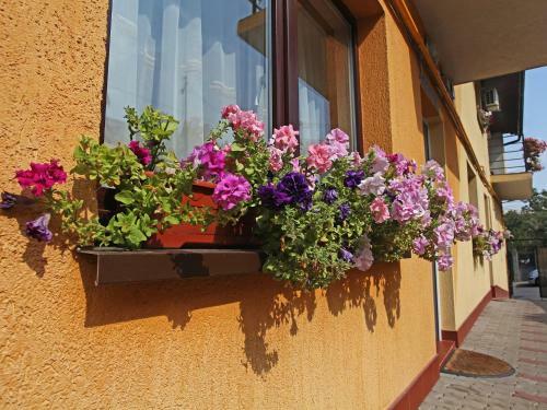 Hostal Pension Mora