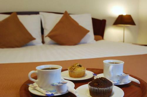 Hostal Pensiunea Elite