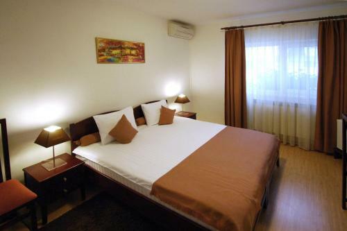 Hostal Pensiunea Elite