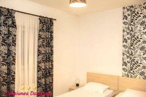 Hostal Pension Daciana