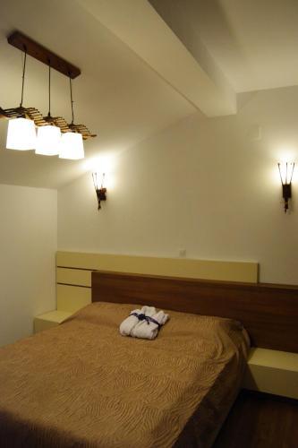 Hostal Cabana Plapumioara
