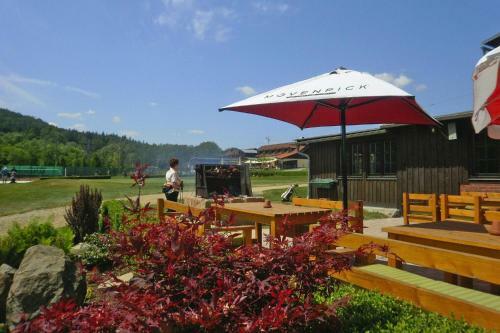 Holiday Home Gro�sch�nau - Dmg08100g-fya