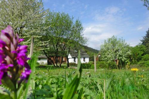 Holiday Home Gro�sch�nau - Dmg08100g-fya