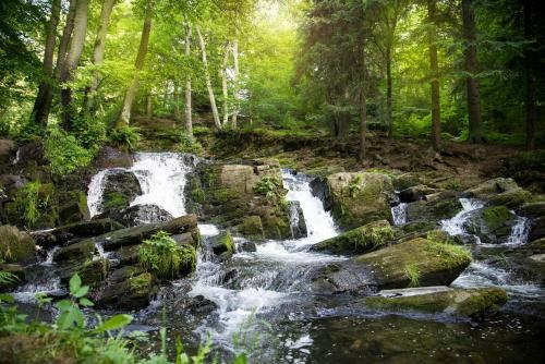 Comfort - "h�tte" Im Harz