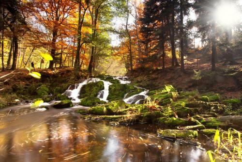 Kuschel - "h�tte" Im Harz