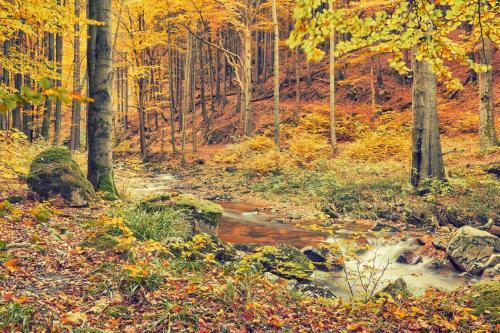 Kuschel - "h�tte" Im Harz
