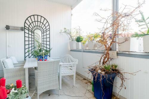 Id 6750 | Private Apartment