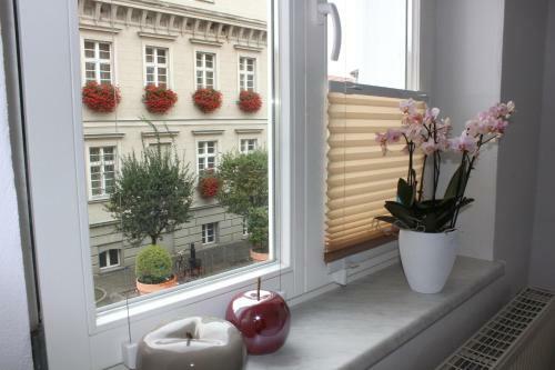 Hostal Bilderbuchcafe - Pension Markt 7