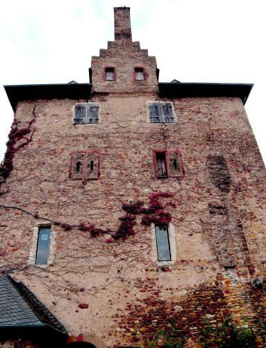 Hotel G�stehaus Rheinblick