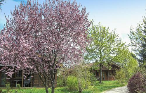 Awesome Home In Hayingen With Sauna And 2 Bedrooms