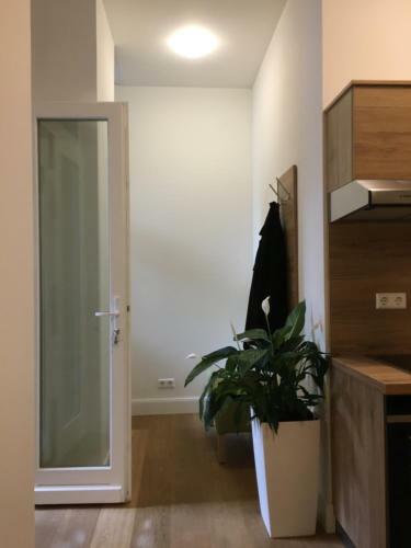 Perkeo Apartments