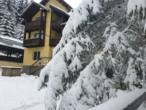 Hostal Casa Vlahopol
