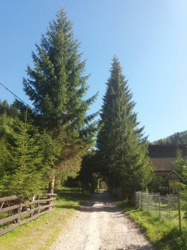 Hostal Casa Vlahopol