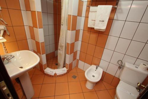 Hostal Pensiunea Vranis