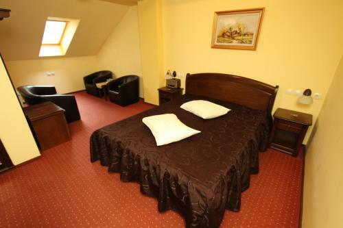 Hostal Pensiunea Vranis