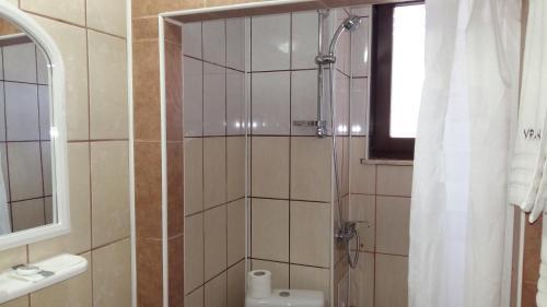 Hostal Pensiunea Vranis