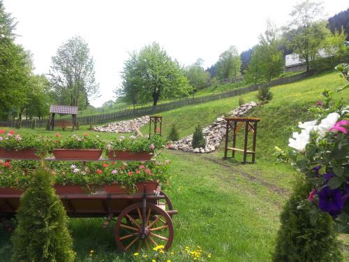 Hostal Pensiunea Vranis