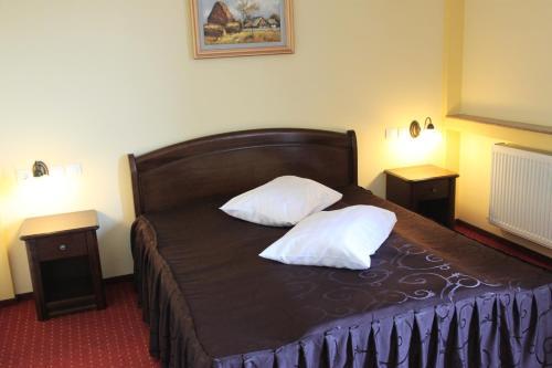 Hostal Pensiunea Vranis