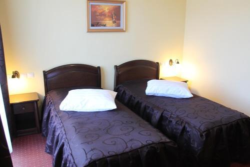 Hostal Pensiunea Vranis