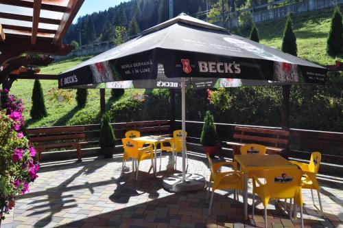 Hostal Pensiunea Vranis