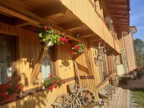 Hostal Pensiunea Casa Alex