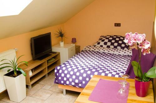 Hostal Penzion No. 1