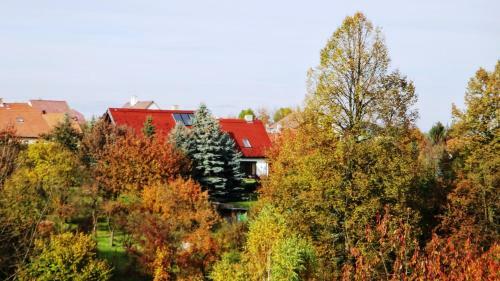 Chalet ?erven� ?e?ice - Popeli?tn�