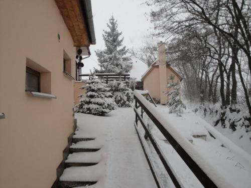 Hostal Penzion Nechorka
