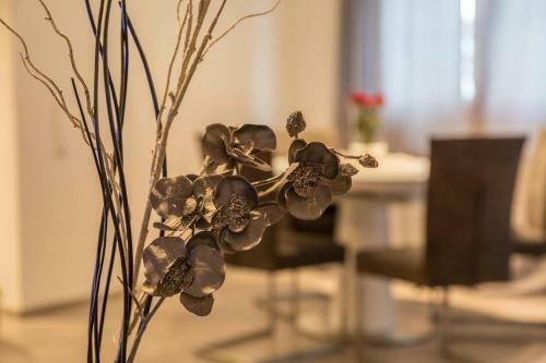 Apartamento Schmuckst�ckchen