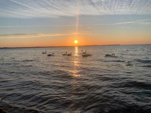 Apartamento Reet Und Meer Beckerwitz
