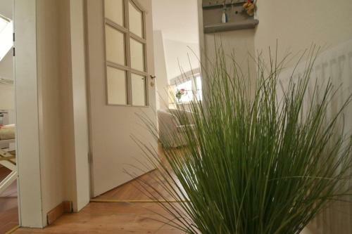 Apartamento Nordseelounge
