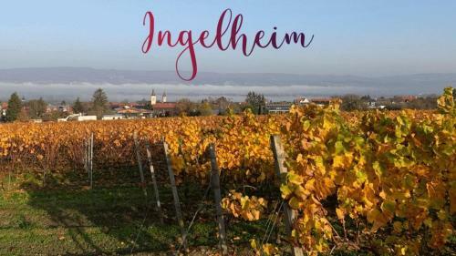 Apartamento Ferienappartment Ingelheim