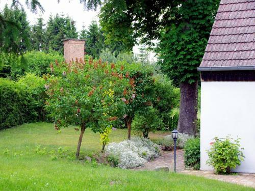 Apartamento Ferienwohnungen Am Loppiner See