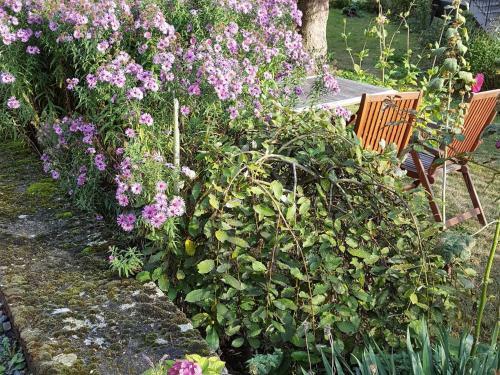 Apartment Kaifenheimer M�hle 3