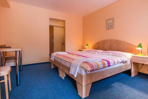 Hostal Penzion V Parku