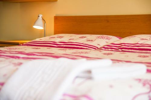 Hostal Penzion V Parku